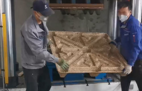 木屑托盤(pán)生產(chǎn)設(shè)備-1600噸四柱液壓機(jī)